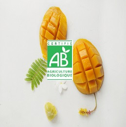 Nos sorbets Bio