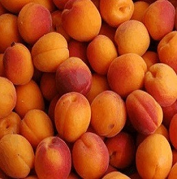 Abricot