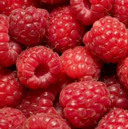 Framboise