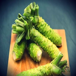 Wasabi